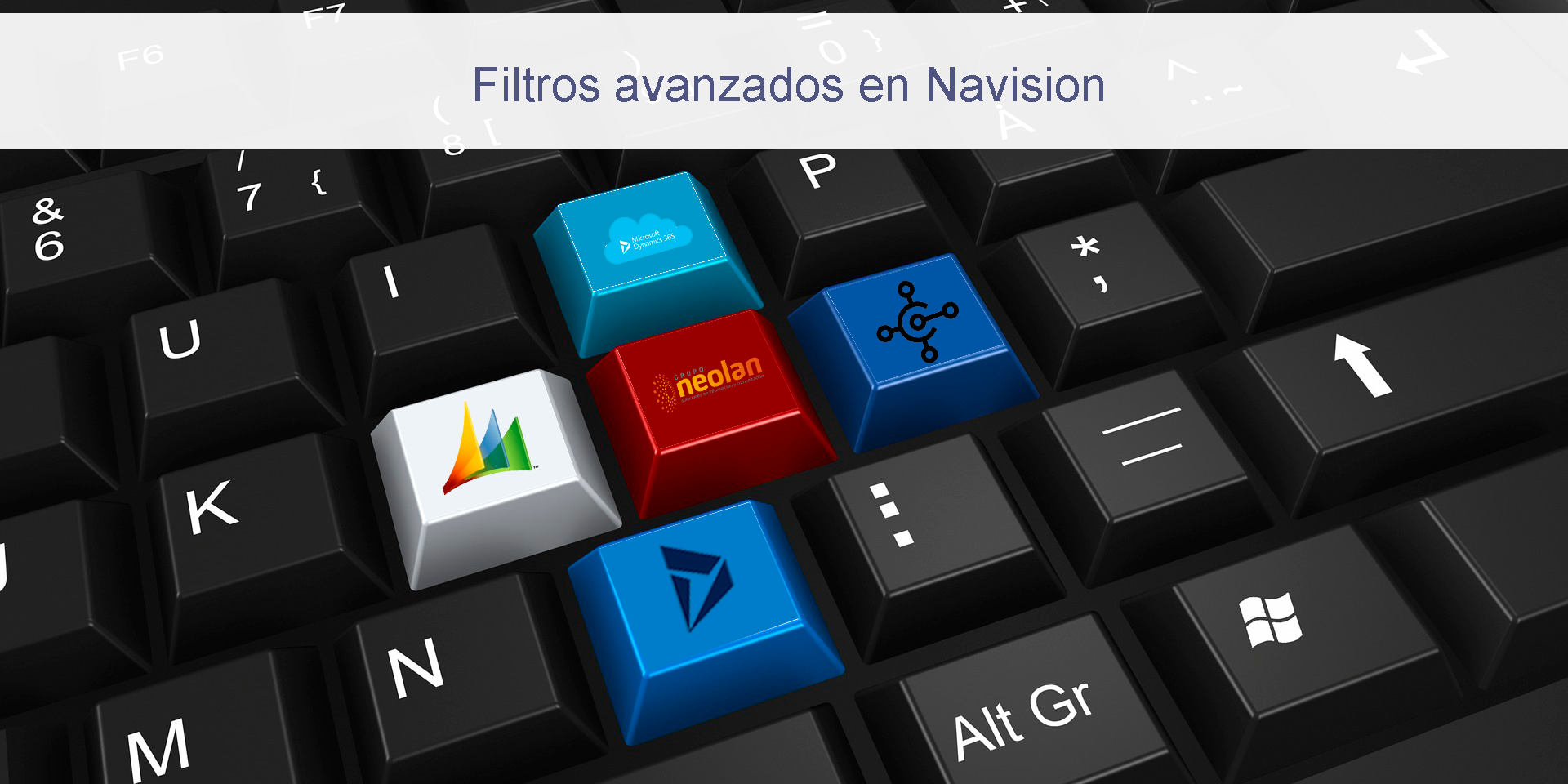 filtros-avanzados-navision-gruponeolan